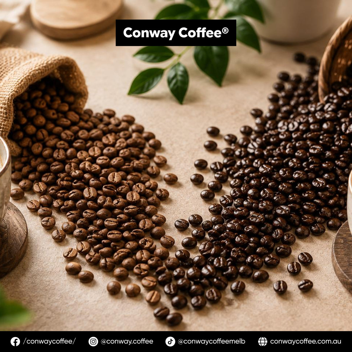 Single Origin vs Coffee Blends: What’s the Difference?