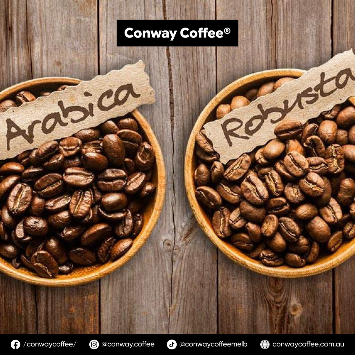 Arabica vs Robusta Coffee: What’s the Difference?