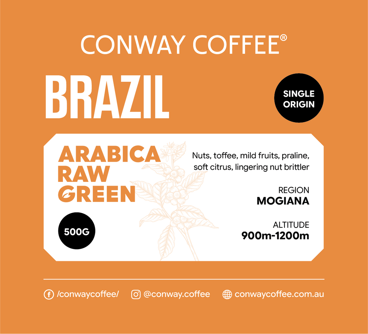 BRAZIL MOGIANA - RAW GREEN (Whole Beans)