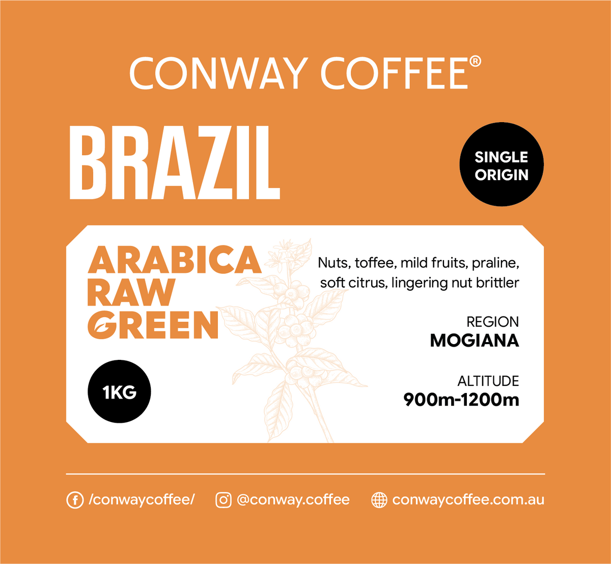 BRAZIL MOGIANA - RAW GREEN (Whole Beans)